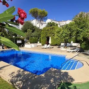 book here